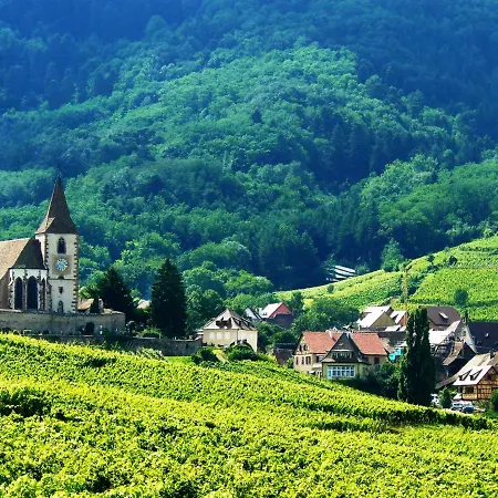 Lägenhet Atelier De Hansi - Centre Colmar