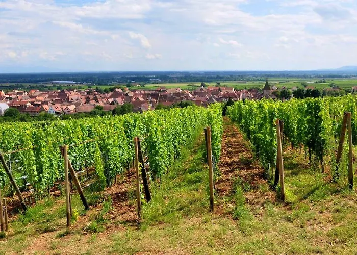 Atelier De Hansi - Centre *