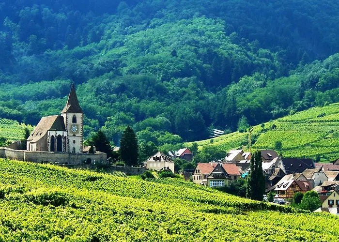 Apartament Atelier De Hansi - Centre Colmar